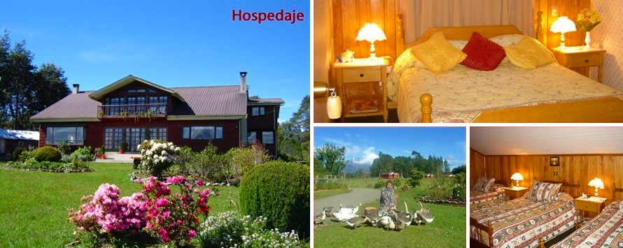 hospedaje